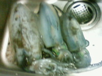 天気に恵まれた090228 2009/03/01 11:55:15