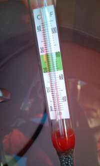 沖目狙い110114 2011/01/15 08:33:34