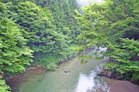 キャンプ場履歴