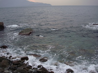 タコ釣り行ってきました。