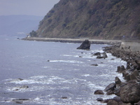 タコ釣り行ってきました。
