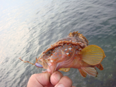 7月9日の釣行。