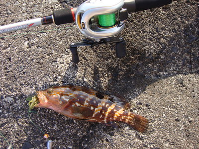 7月16日の釣行。
