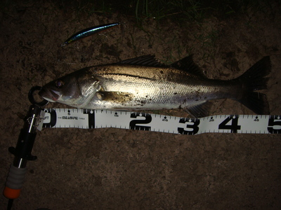 7月29日の釣行。