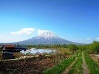 北海道にも春がきました