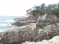 釣り納め（宮城編）