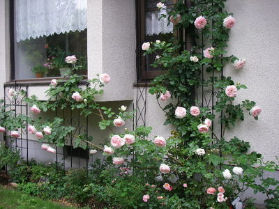 雨が激しくなる前に