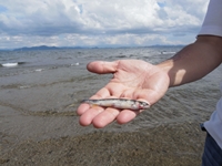 The field trip to Lake Biwa