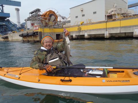 なんぼでも釣れまっせ