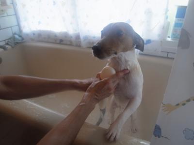 Fat Man in the Bathtub