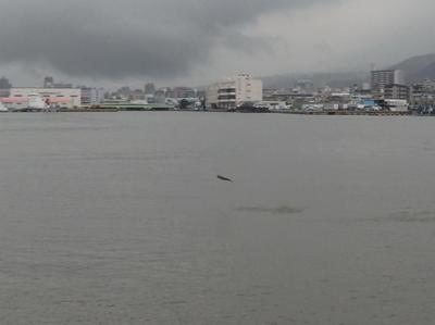 芦屋浜ナウ