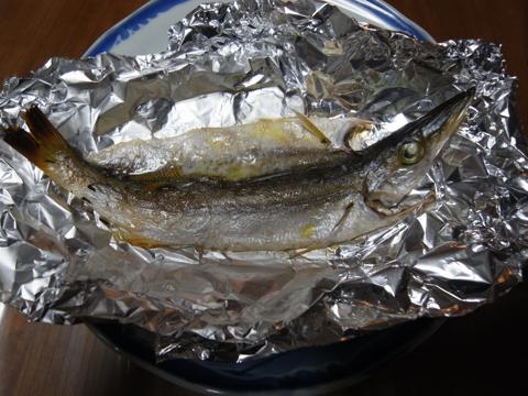 なんぼでも釣れまっせ