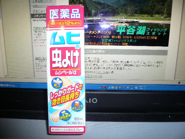 VSブヨ