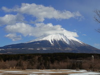 雪がもふもふ毛無山