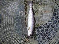 ご無沙汰しております