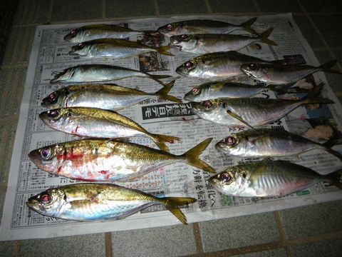 昨日の結果