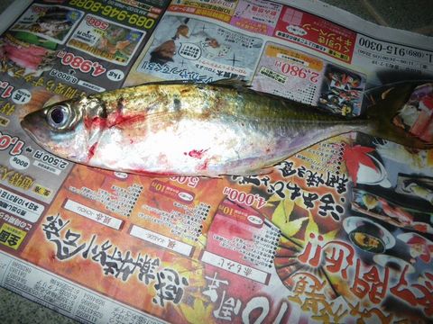昨日の結果