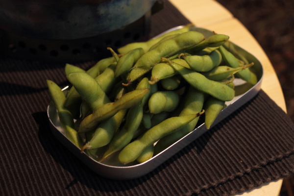 信州へキャンプ釣行