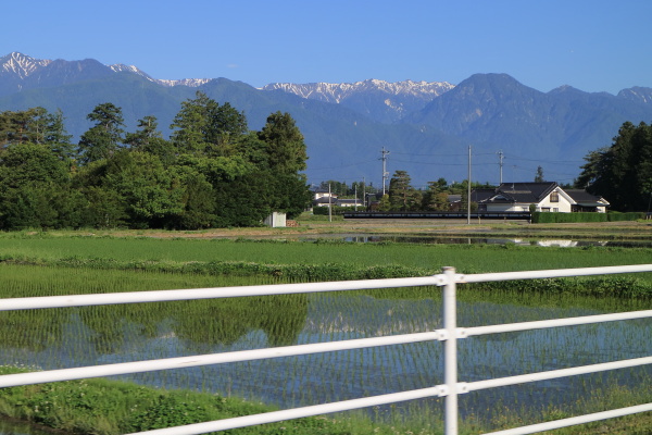 犀川本流　チャンスはあったけど・・・