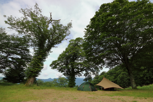 避暑ソロキャンプ　和佐又山