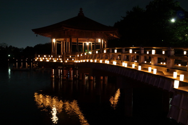 なら燈花会2015