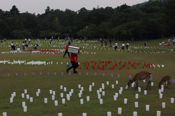 なら燈花会2015