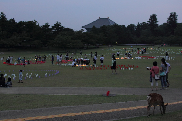 なら燈花会2015