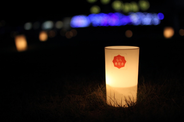 なら燈花会2015