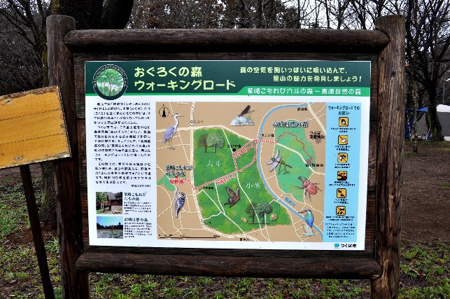 茎崎こもれび六斗の森