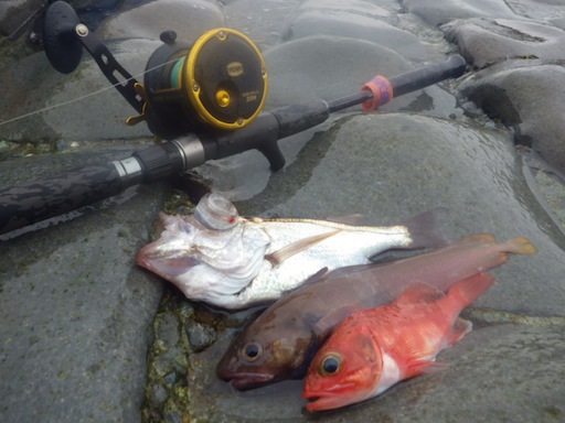 Angler's Life ～浮かべ釣道～:ディープシー愛のスコール 〜Penn