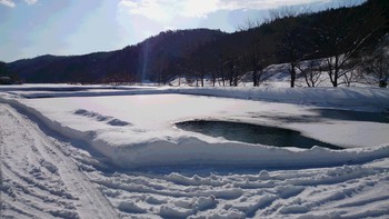 本日も臨時休業です