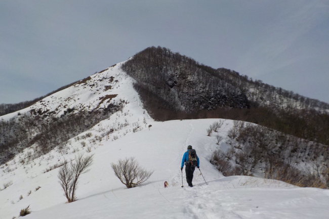 ワンコととスノーハイク　下蒜山