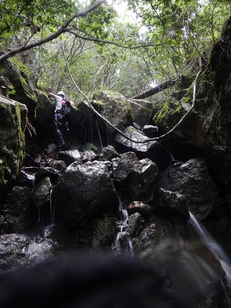 沢登り　弓場川油谷