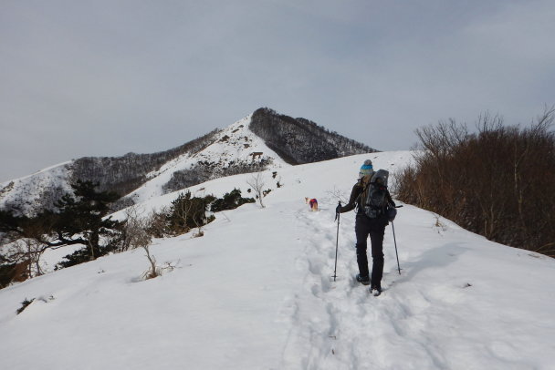 ワンコととスノーハイク　下蒜山