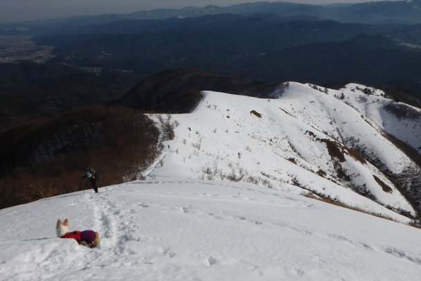 ワンコととスノーハイク　下蒜山