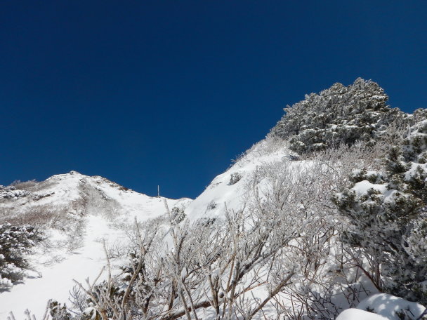 大山（文殊谷西尾根）