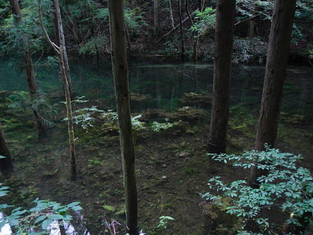 山で泳ぐ！