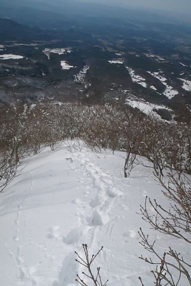 大山(大ノ沢左岸稜～六合西沢)