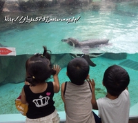 〜2014夏休み〜