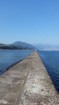 今日は休日