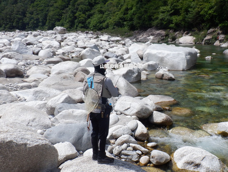 木曽川本流サミット　2024