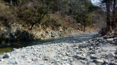 秋川釣行 (3/7) 2020/03/08 15:06:51