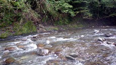 秋川釣行 (10/3) 2020/10/04 12:30:01