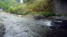小菅川釣行 (5/12) 2022/05/13 13:15:27