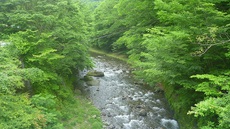 小菅川釣行 (6/20) 2022/06/21 21:37:49