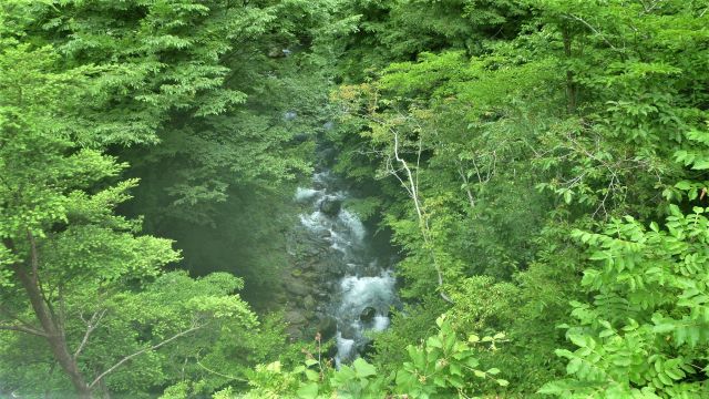 小菅川釣行 (7/5)