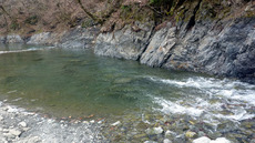 小菅川釣行(3/17) 2022/03/21 11:42:50