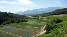 峡北漁協釣行(6/18) 2016/06/19 12:49:10