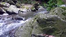 小菅川釣行（6/13） 2022/06/14 16:37:02