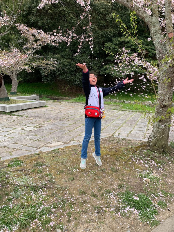 2019年4月　明石で桜とか・・・